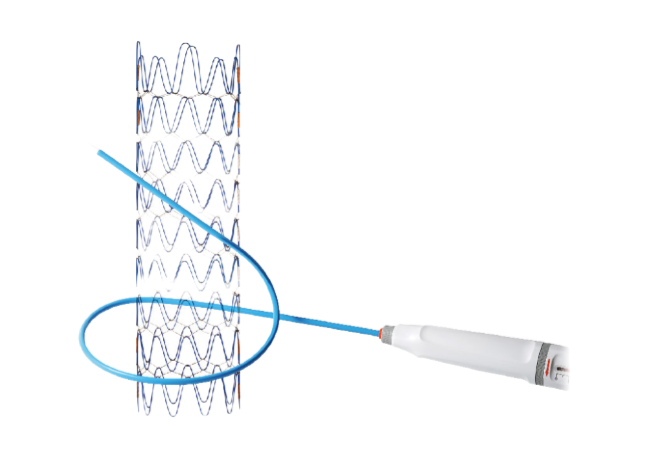 胸主動(dòng)脈支架系統(tǒng)