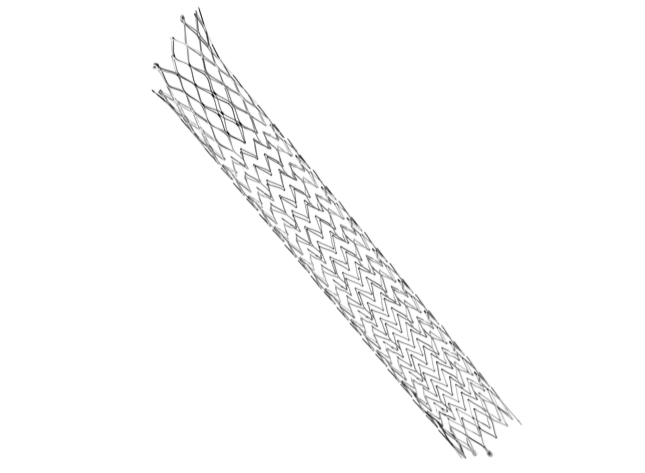 髂靜脈支架系統(tǒng)