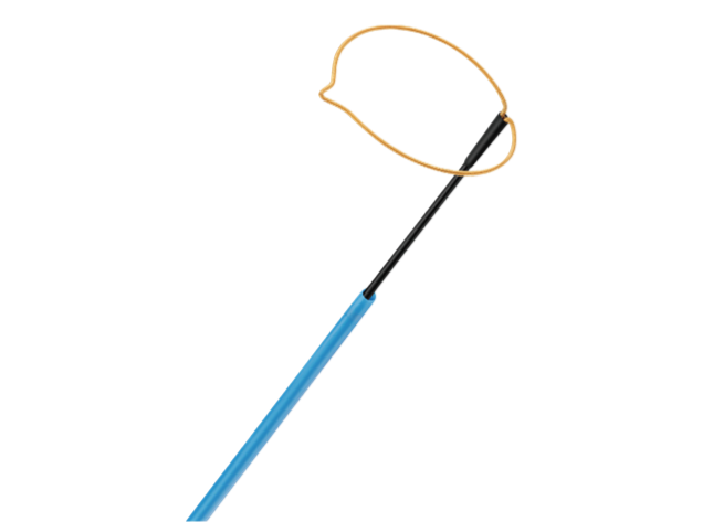 血管內(nèi)異物取出裝置